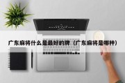 广东麻将什么是最好的牌（广东麻将是哪种）