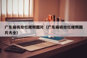 广东麻将抢杠规则图片（广东麻将抢杠规则图片大全）