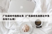 广东麻将中南西北发（广东麻将东南西北中发白有什么用）