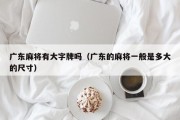 广东麻将有大字牌吗（广东的麻将一般是多大的尺寸）