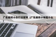 广东麻将小白打法视频（广东麻将小胡是什么）